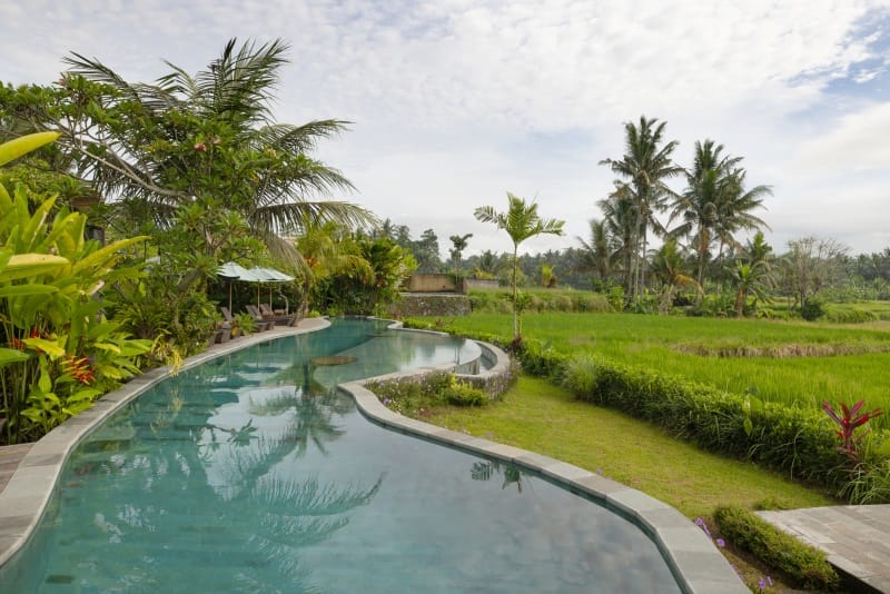 BeeHouse Dijiwa Ubud 사진 5