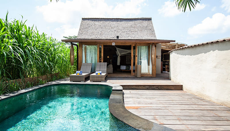 Blue Karma Dijiwa Ubud 객실 2