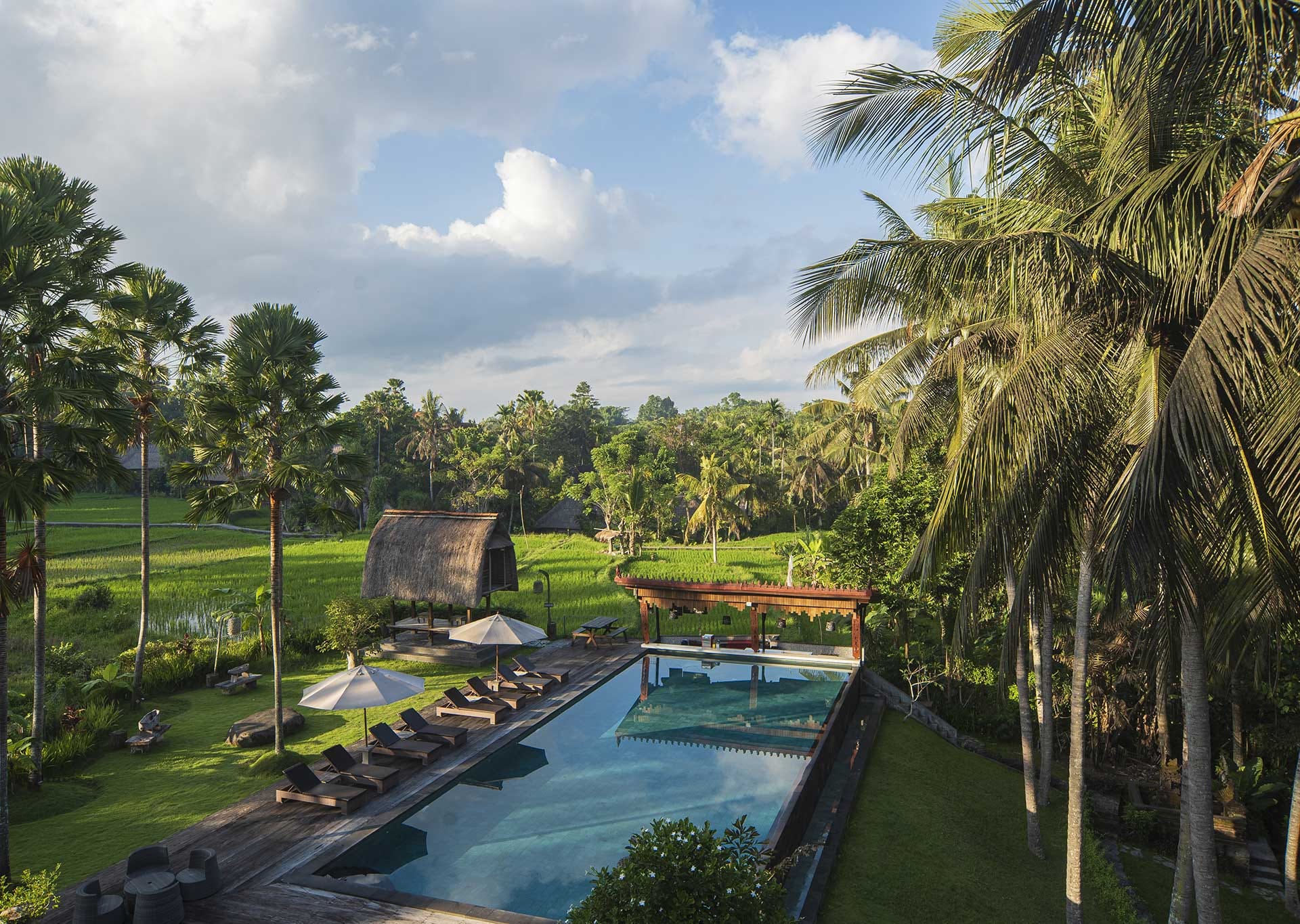 The Artini Dijiwa Ubud - 우붓 발리 호텔