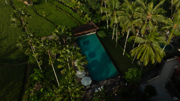 The Artini Dijiwa Ubud 사진 3