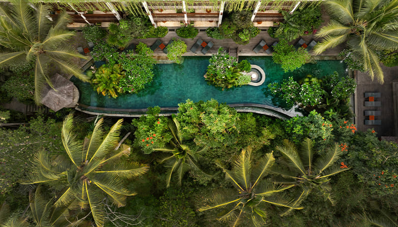 Arkamara Dijiwa Ubud 사진 4